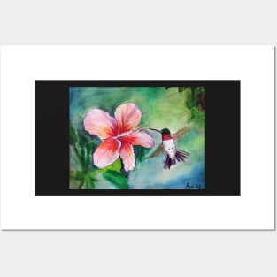 Ruby Throated Hummingbird and Hibiscus Flower Posters and Art